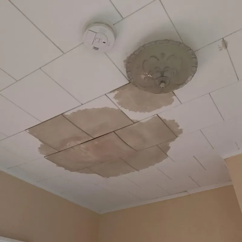 Ceiling Water Damage Repair in Browntown, PA