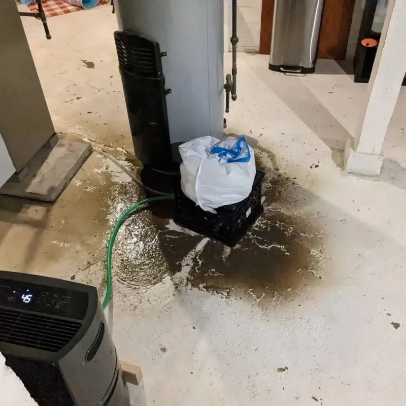 Sewage Backup Cleanup Service in Browntown, PA